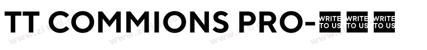 TT COMMIONS PRO字体转换 TT COMMIONS PRO字体转换